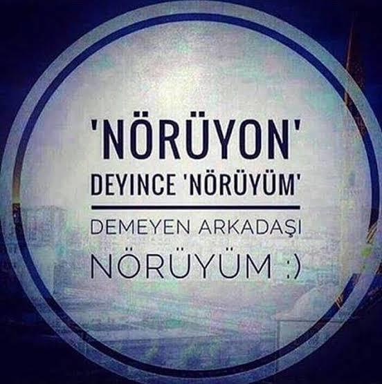 Nörüyonuz?