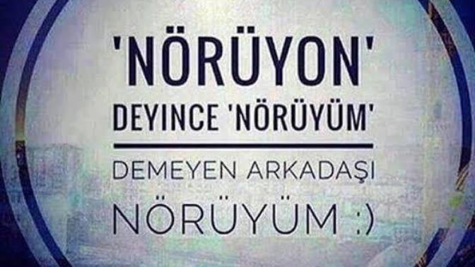 Nörüyon diyene, nörüyüm ya sen nörüyon diye cevap vermeyeni nörüyüm?