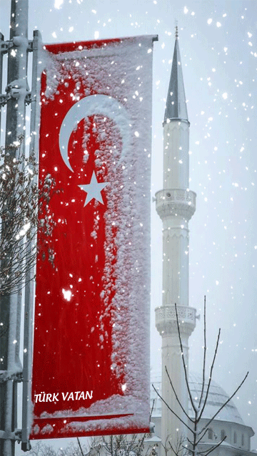 Telefon için güzel duvar kağıtları önerir misiniz?