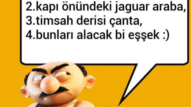 Kadınların en çok sevdiği hayvan hangisidir?