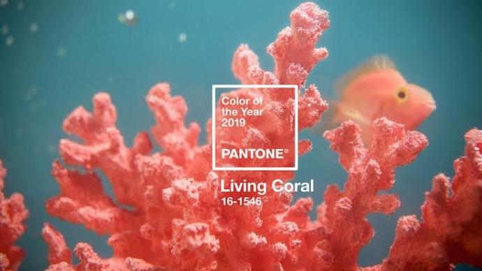 2019’un rengi Living Coral oldu! Favori mercan renkli elbiseniz hangisi?