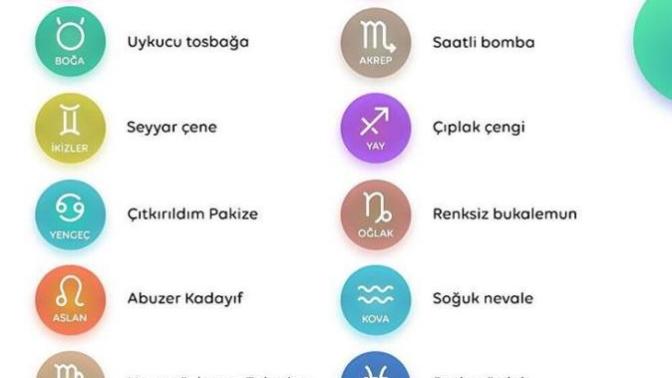 Burçların beyin yakan lakapları nelermiş=)?