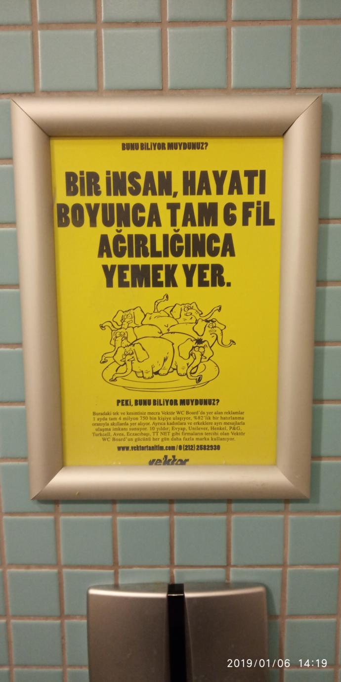 WC ye asmislar 😂