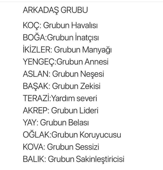 Sen grubun nesisin? Burçlara göre arkadaş grubu?