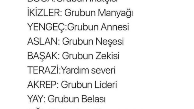 Sen grubun nesisin? Burçlara göre arkadaş grubu?