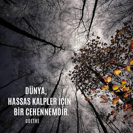 Bu dünya hassas kalpli insanlar için çok acımasız değil mi sizce de?