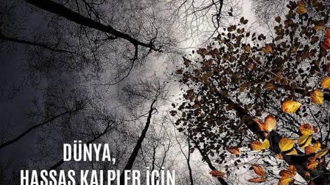Bu dünya hassas kalpli insanlar için çok acımasız değil mi sizce de?