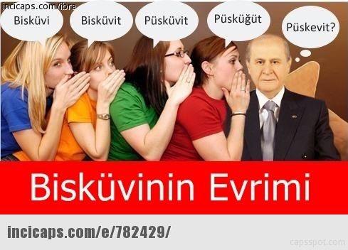 Bisküvi mi, püskevit mi?