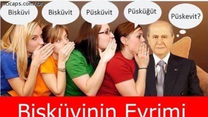 Bisküvi mi, püskevit mi?