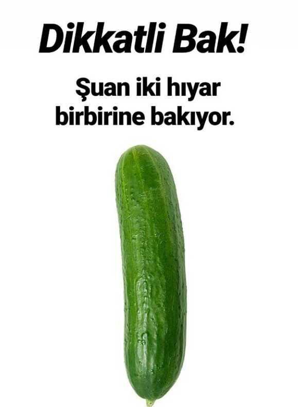 Ayh yatakta baklava yemeyi sever misiniz kız ayool?