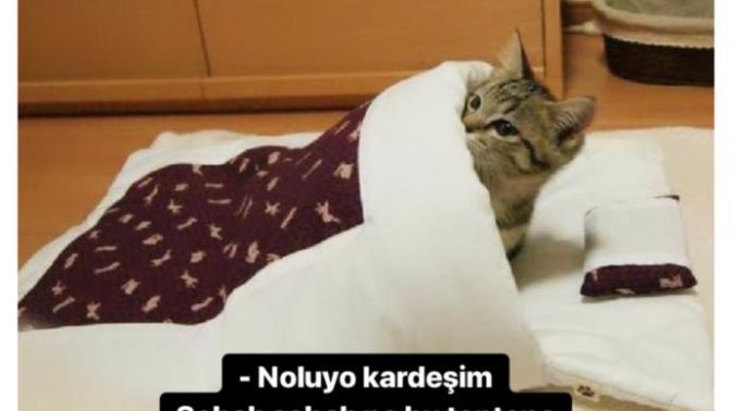 Sabah sabah ne bu tantana?