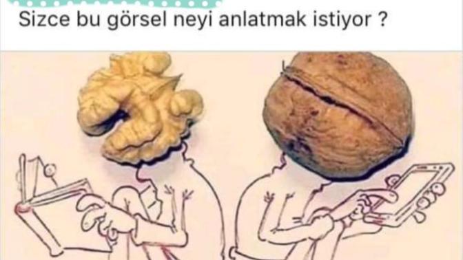 Görsel de Anlatılmak İstenen Nedir?