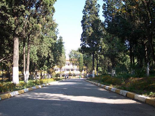 İAFL bahçesi