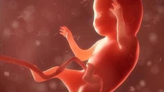 Cenin kaç bölgede yaratılış'ı tamamlar?