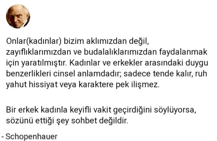 Arthur Schopenhauer'in kadınlar hakkındaki bu tezine katılıyor musunuz?