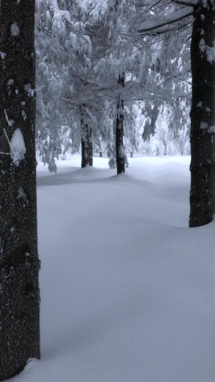 Nasıl ortam ;) kocaeli/kartepe?