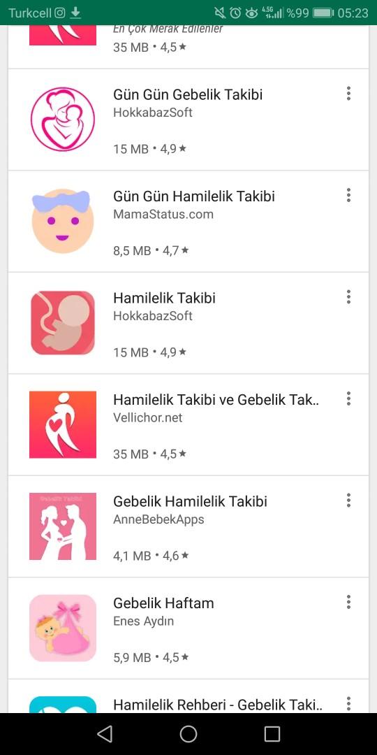 12 haftalık kaç aylık oluyor 3 e girdim mi?