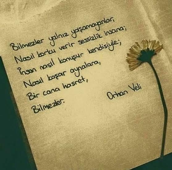 Orhan Veli denildiğinde ilk aklınıza gelen şiiri hangisi oluyor?