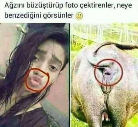 Sizce de bu gençlik nereye gidiyor?