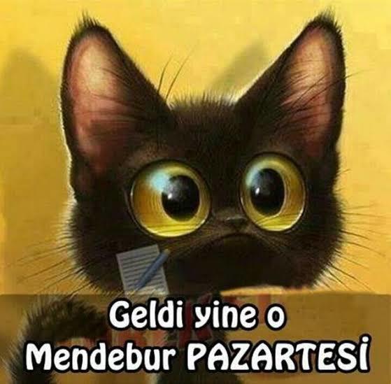Pazartesi 😒