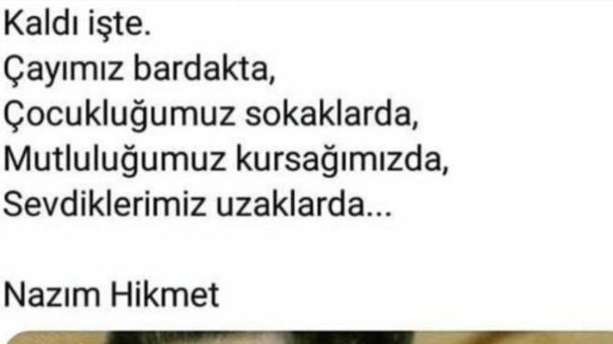 Neleriniz yarım kaldı ki bu hayatta?😶😶😶?