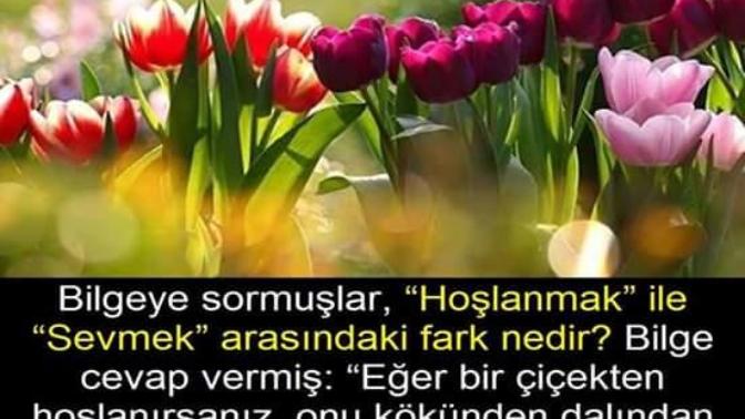 Hoşlanmak ile sevmek arasındaki fark nedir?
