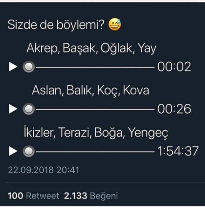 Aslan / Doğru 😁