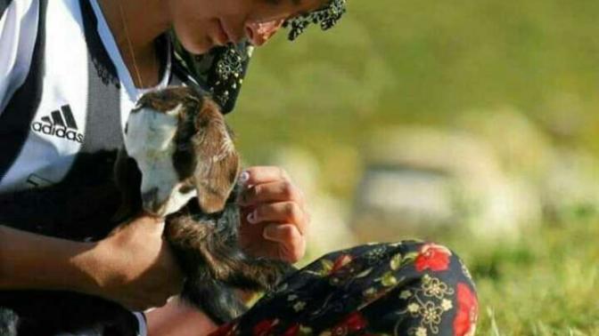 Kaç dil bildiğiden bana ne;
İnsancan nasıl?
Yürekcen iyi mi?