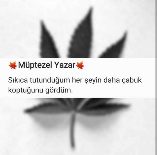 Galerinizde ki son fotoğrafı atabilir misiniz😂?