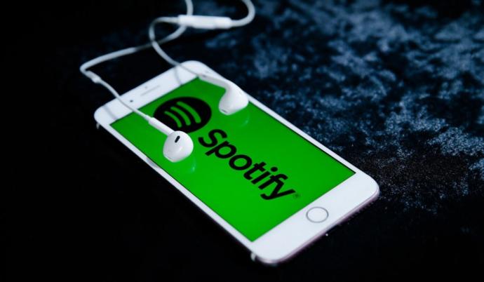 Spotify birinin profiline bakmak