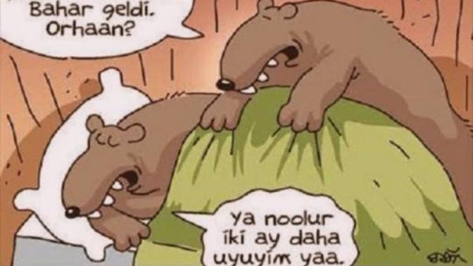 Nasıl ayı olabilirim?