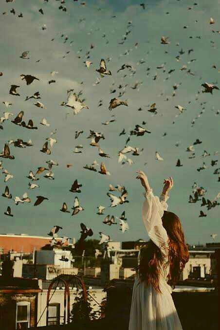 Kuş kadar hafif olmak özgür olmak uçsuz bucaksız gökyüzünde hiç durmadan uçmak ister miydiniz..🕊🏞?