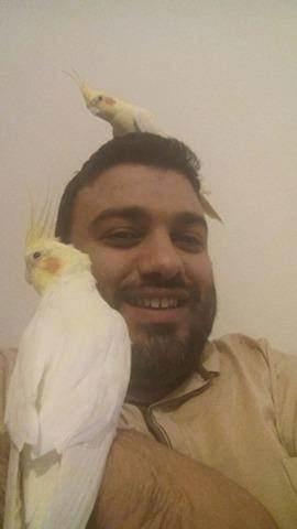 Kuş kadar hafif olmak özgür olmak uçsuz bucaksız gökyüzünde hiç durmadan uçmak ister miydiniz..🕊🏞?