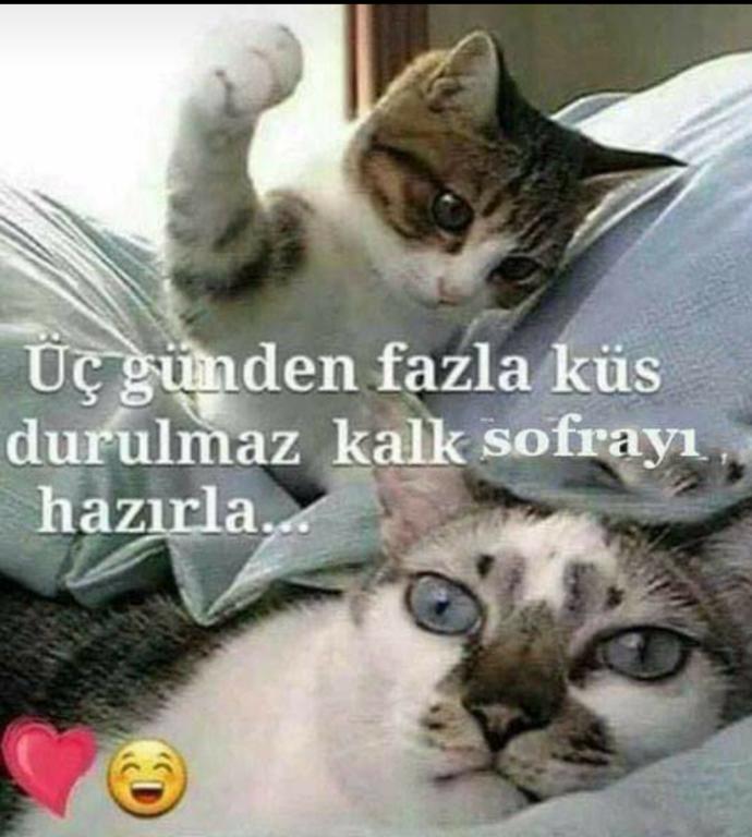 Küsme huyunuz var mı 🤔 Kin güdermisiniz?