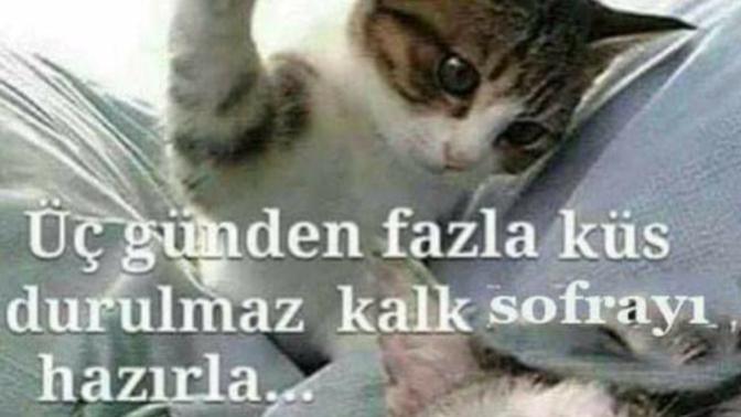 Küsme huyunuz  var mı 🤔 Kin güdermisiniz?