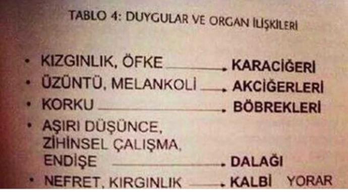 Duygularına göre en çok hangi iç organın yoruluyordur?