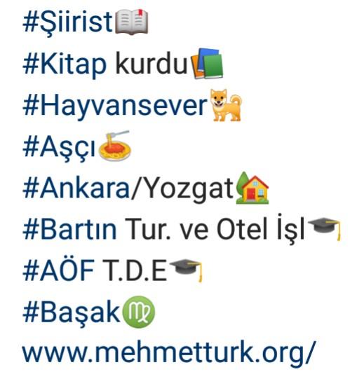 Insta kullananlar, bionuzda ne yazıyor👀?