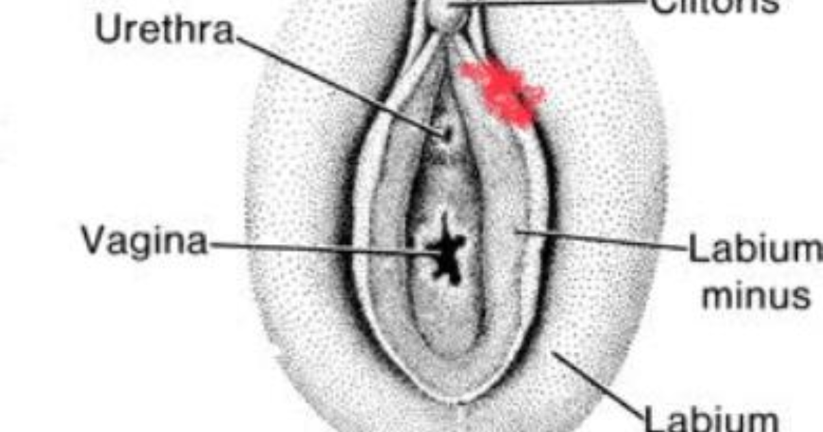 Vaginalarning erotik pornografik fotosuratlari Armiya gey porno film