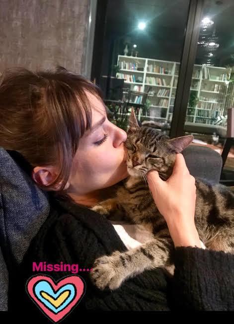Ünlü anne-kedi çiftlerinden hangisi dünya tatlısı duruyor?