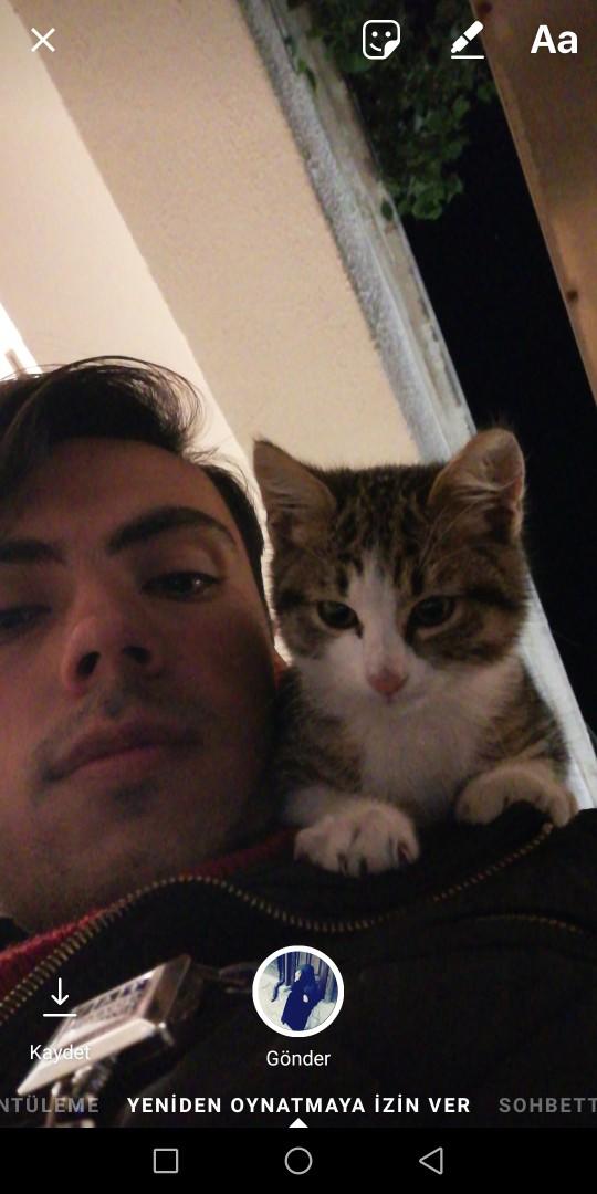 Ünlü anne-kedi çiftlerinden hangisi dünya tatlısı duruyor?