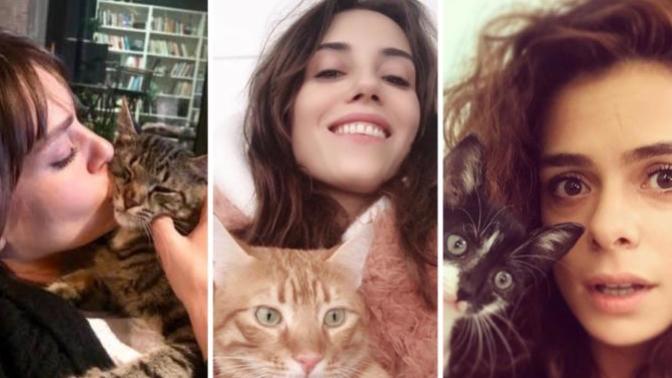 Ünlü anne-kedi çiftlerinden hangisi dünya tatlısı duruyor?