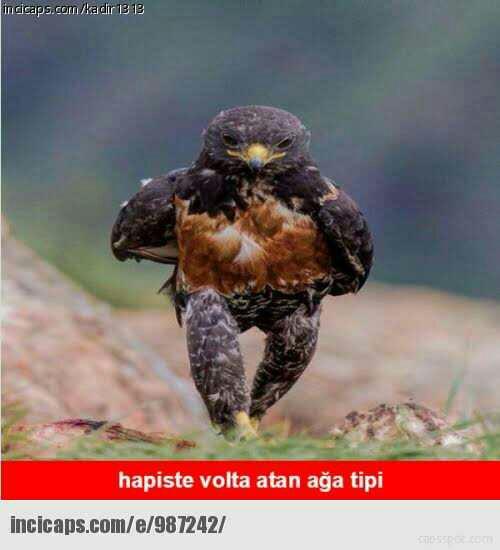 Bir süper güç hakkınız olsaydı neyi seçerdiniz?