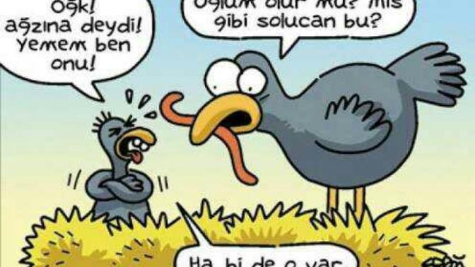 Hayat güzelse sebebi ne?