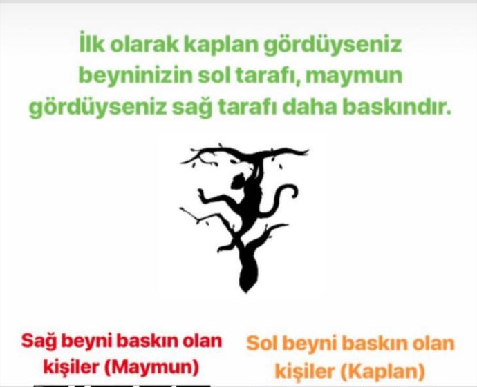 Resimde ilk hangisini gördünüz ?