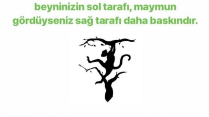 Resimde ilk hangisini gördünüz ?