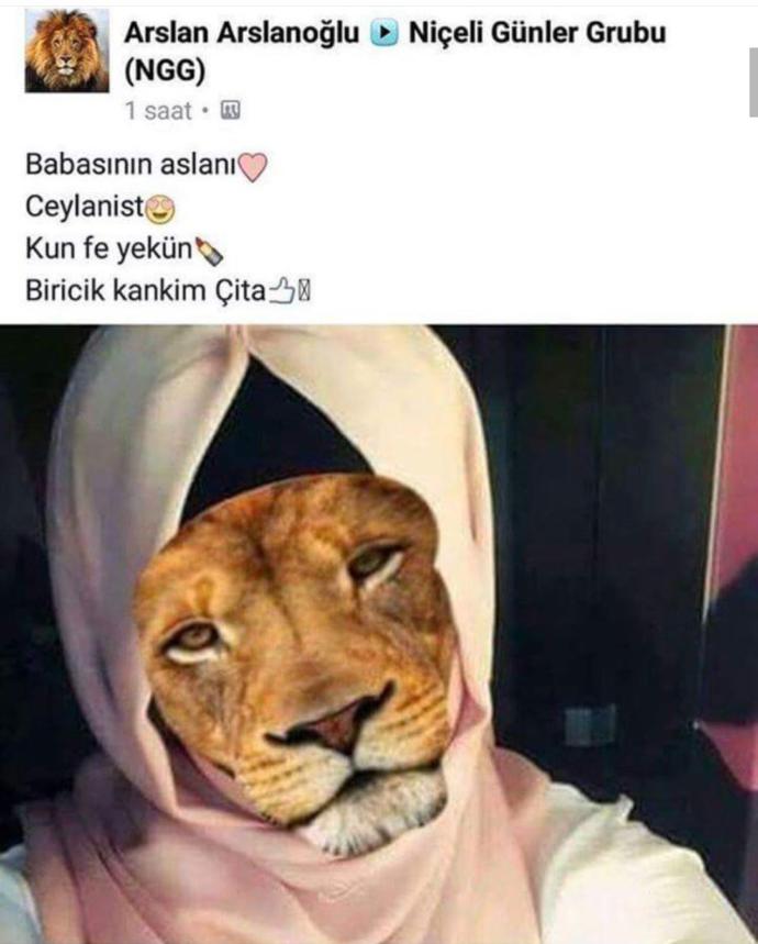 İnstagram profilim nasıl?
