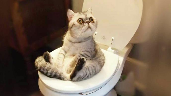 Nasıl kullaniyorsunuz şunu hiç mi utanmiyorsunuz😂😂?