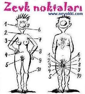 Erkeklerin zevk aldığı noktalar nereleridir?