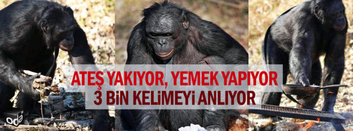 Sevgilimle kavgam RESIMLI hangimiz hakliyiz?