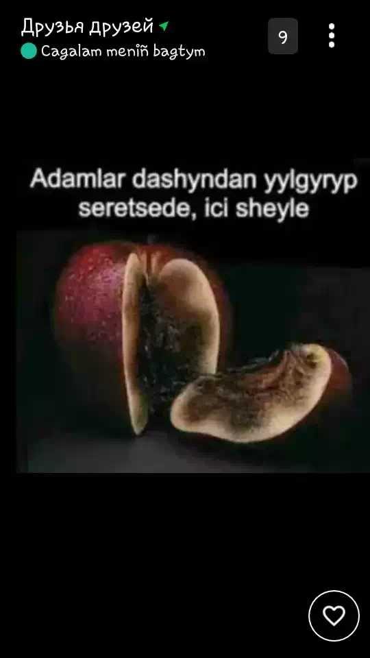 Bu resim size ne ifade ediyor?